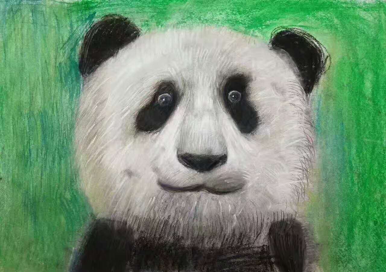 20170731150146699681.jpg 微信图片_20170731083001.jpg